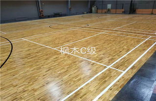 運(yùn)動場館地板選擇指南 企口硬木地板與塑膠地板的對比與應(yīng)用